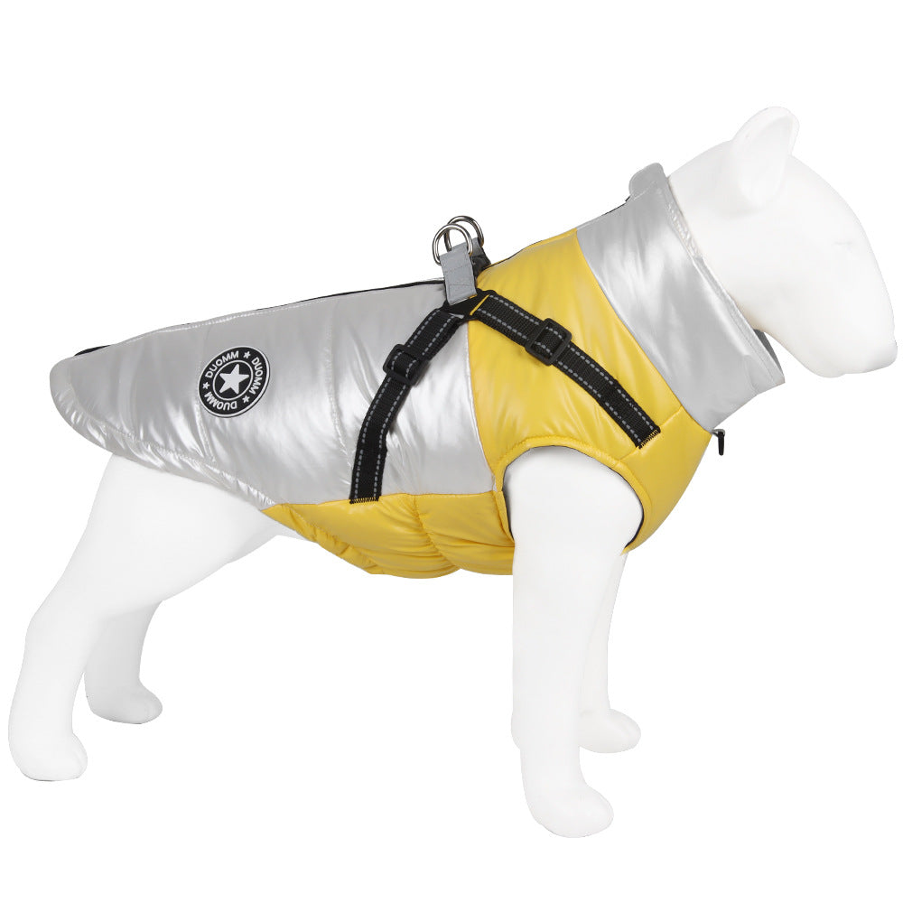 Big Dog Windproof Winter Coat
