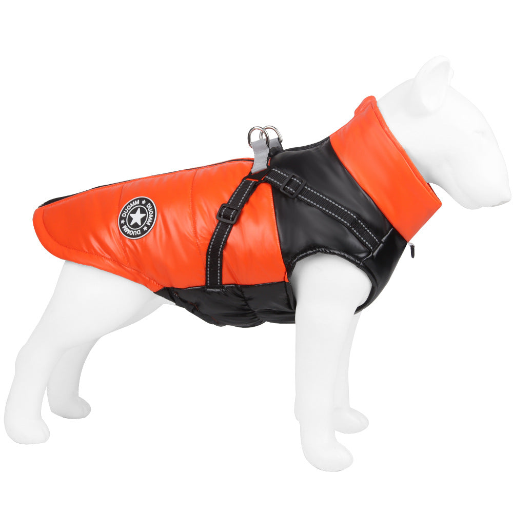 Big Dog Windproof Winter Coat